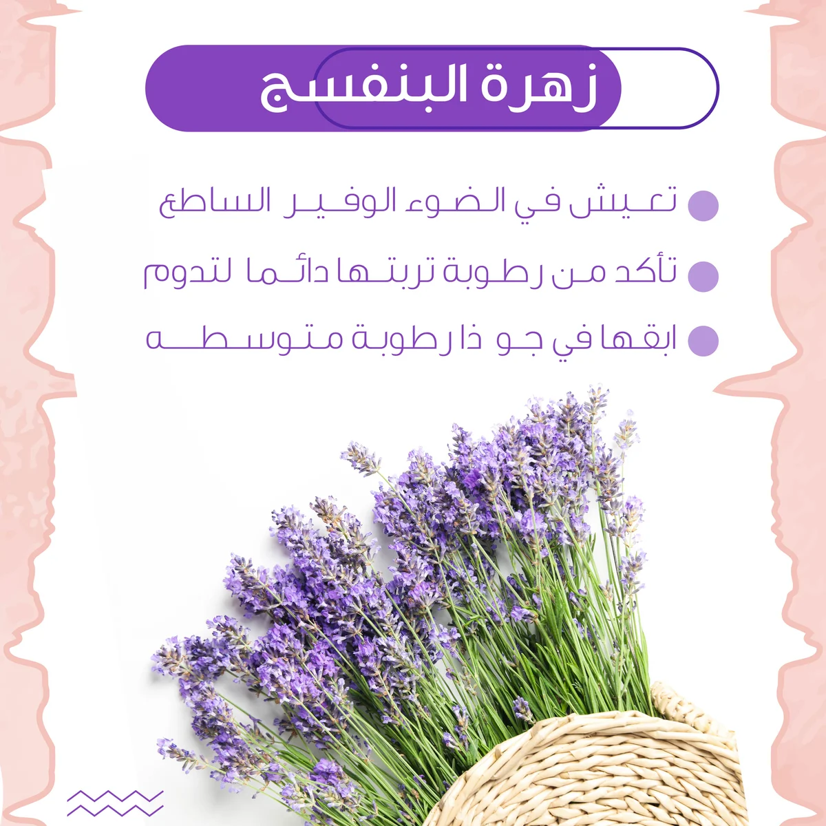 بوست محل ورود 