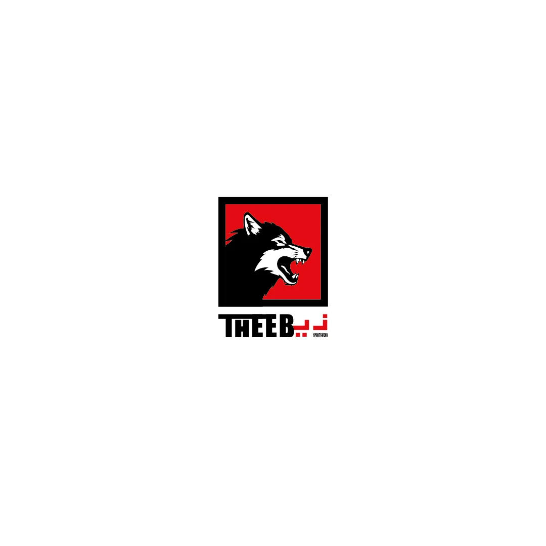 تصميم شعار لبراند ملابس رياضية  متخصصة في الفنون القتالية بأسم " THEEB- ذيب "