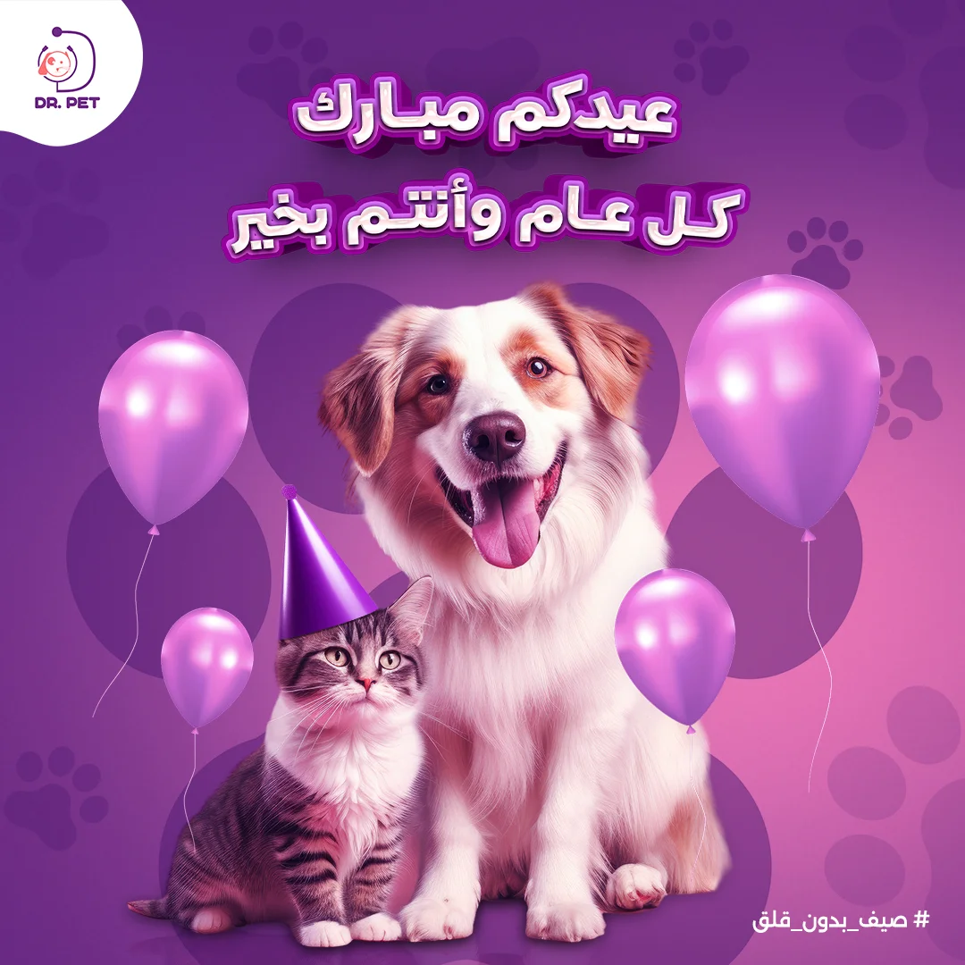 تصميم سوشيال ميديا وموشن جرافيك ثنائي الأبعاد