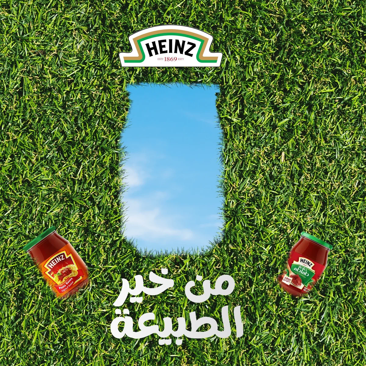 سوشال ميديا