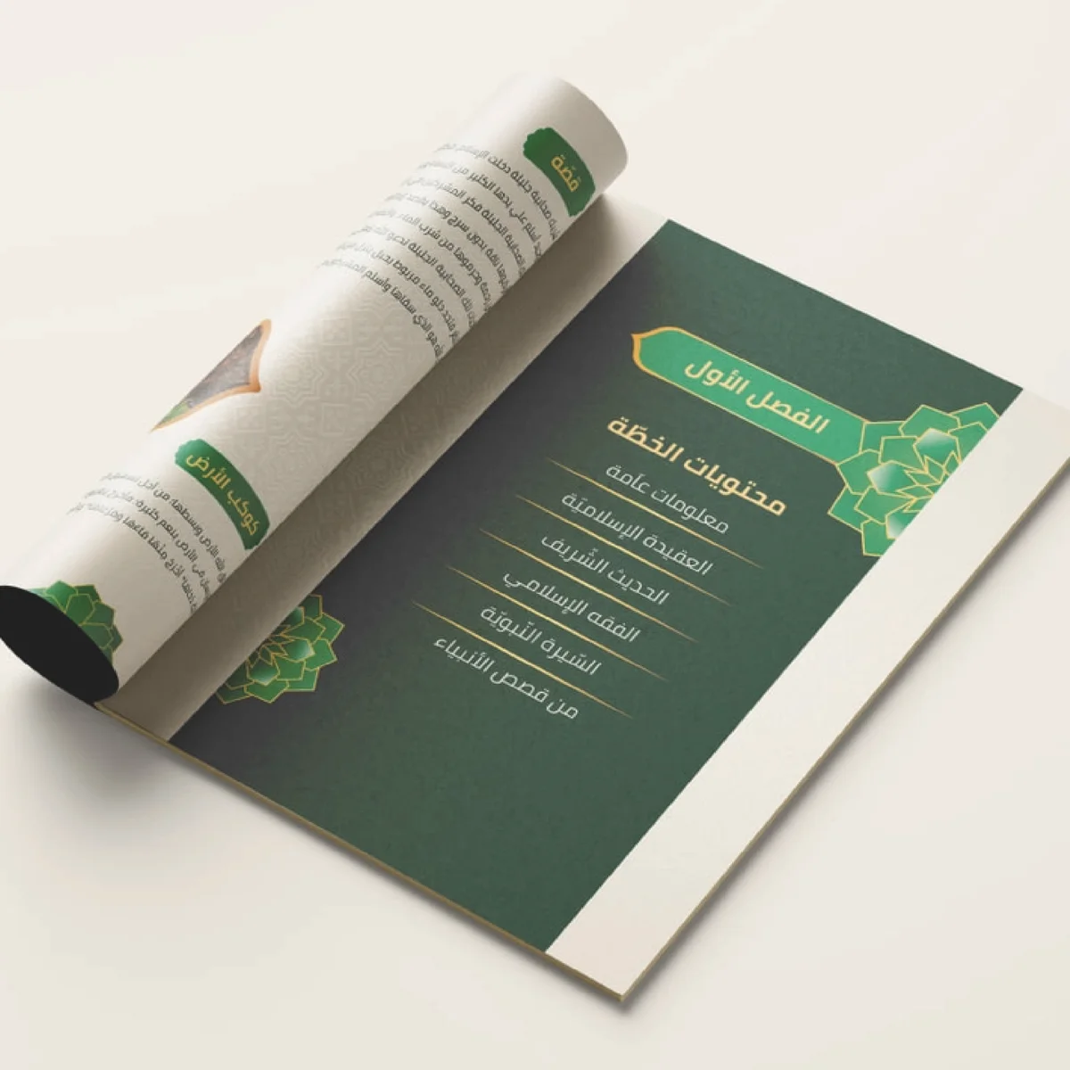 تصميم الكتب والمجلات والمطبوعات