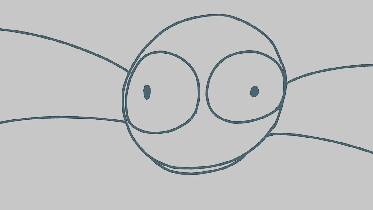 Animation Intro